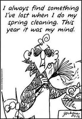 spring cleaning